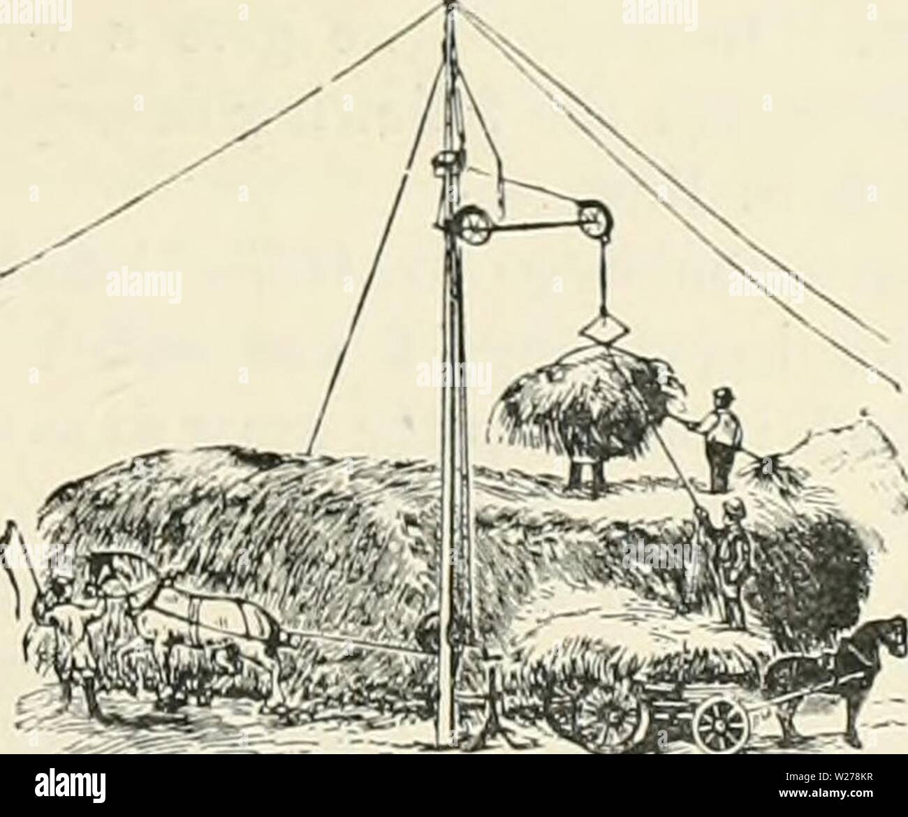 Archive image from page 252 of Dairy farming  being the. Dairy farming : being the theory, practice, and methods of dairying  dairyfarmingbein00shel Year: 1880  1 Rk ON l-RVMEWORk suspended from the ridge-tree. In this case the four small wheels which carry the fork run on the one spar instead of two, clasping it, so to speak, turned inwards instead of outwards on the frame to which they and the fork are attached, and leaving a space between each pair, so as to clear the iron bolts by which the spar is suspended. This principle will answer instead of the fore- going one inside a barn, while it Stock Photo