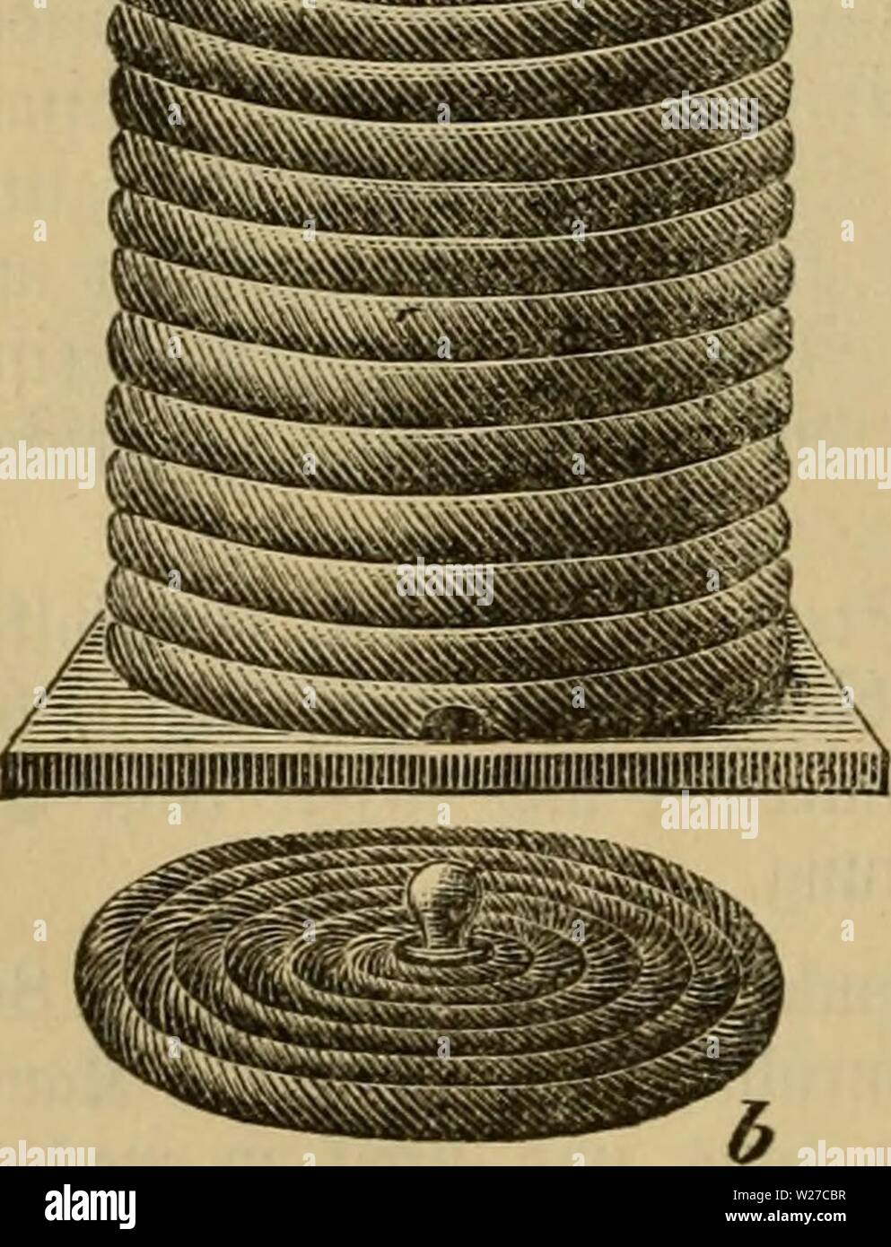 Archive image from page 263 of Das buch von der biene. Das buch von der biene  dasbuchvonderbie00witz Year: 1898  auf lüelcen bie tabuen ober bie SSabenträger ber 0?ä'mceit 2tl§ 'tdd »erlangt ani ein trof)brett, ba§ bicfer fein foü al§ bie SSänbe unb ein 8 cm weites 2od) fiaben mu. 33ei Slnfertigung biefer erfigen trol) magagine tt)ut man gut, in bie ®trof)raulfte ah unb äu oläftücfe Don c §u cf ein äutegen, bamit fid) bie den bei längerem ebraurf) nirf)t runben. 2(l§ 'onigraum bient ein gleirf) großer ölserner 5(uffa- aften, ber mit 3ftäf)mrf)en auSgeftattet mirb. 2öer runbe unb ecfige tro'ti Stock Photo