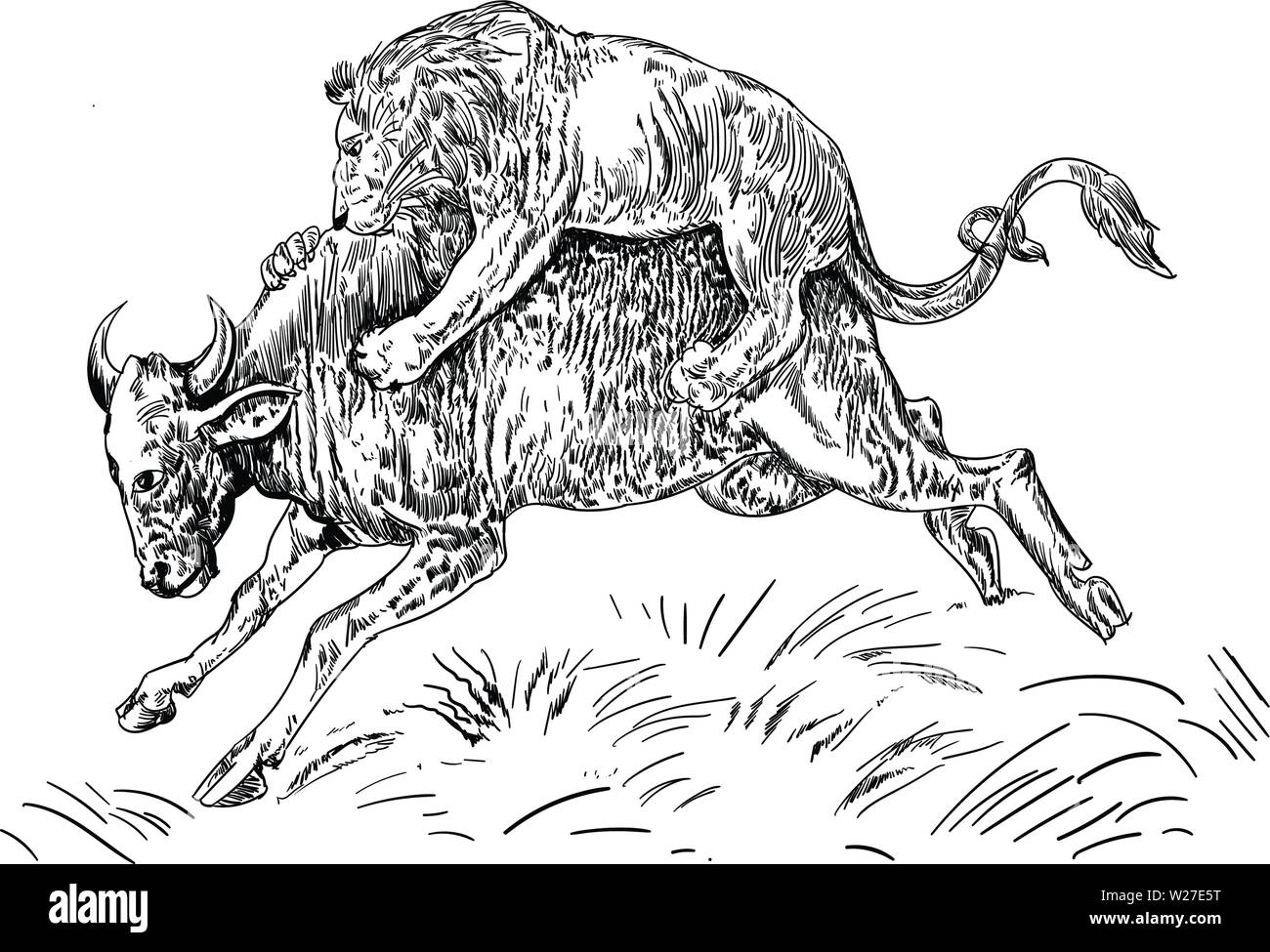 Loin attacking buffalo vector Stock Vector
