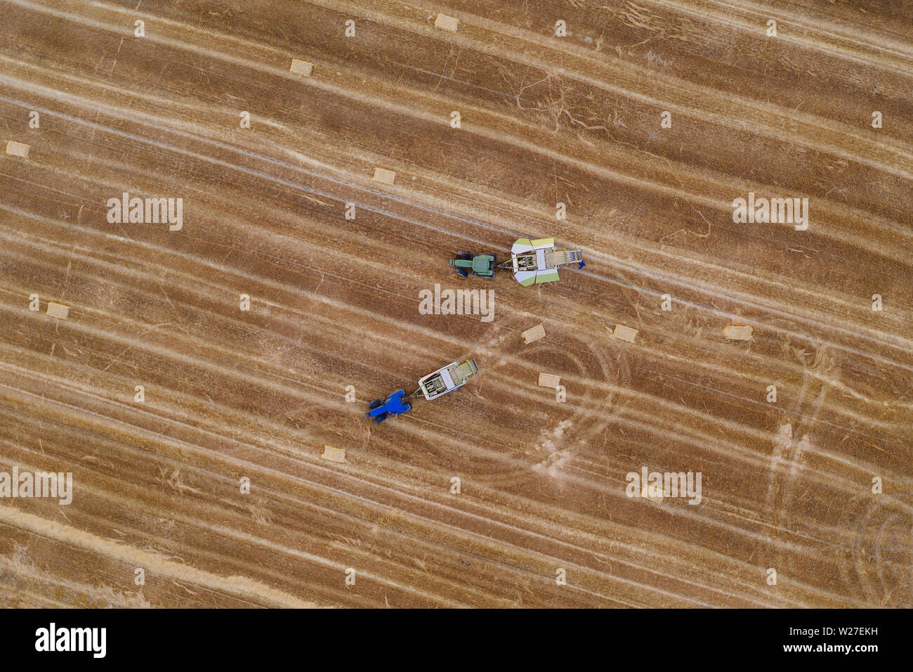 Aerial drone photography of farm lands. Agricultural parcels of flat lands in Poland, Europe