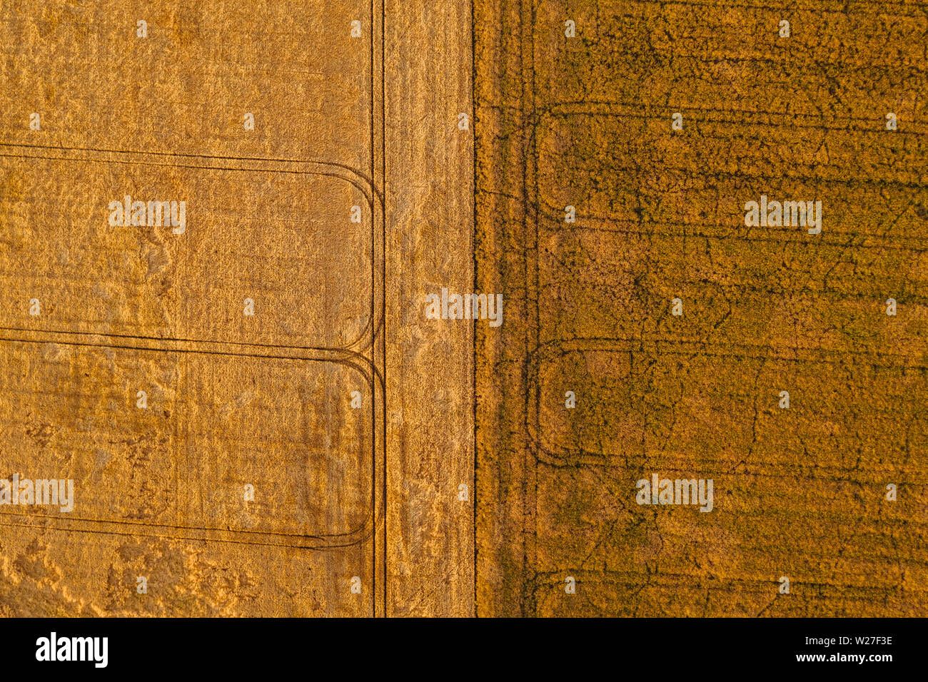 Aerial drone photography of farm lands. Agricultural parcels of flat lands in Poland, Europe