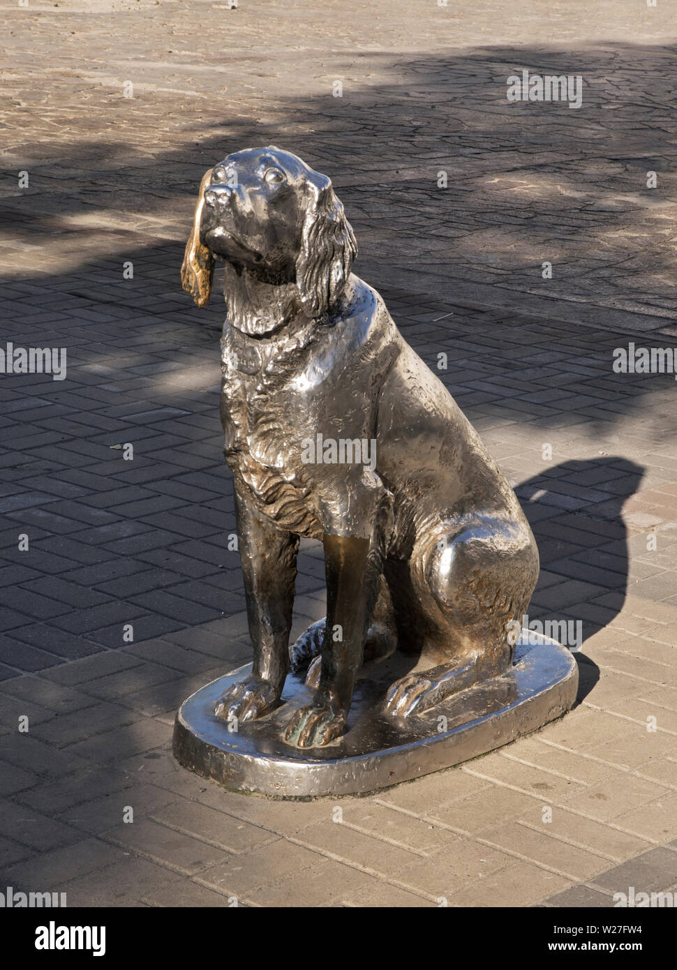 Monument to dog Bim with black ear at Revolution avenue in Voronezh