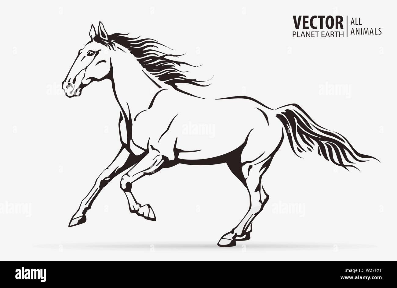 Featured image of post Vector Image Running Horse Logo / Portrait of running white horse with different flowers in long mane isolated on blue gradient horse in bridle, vector colorful realistic illustration.