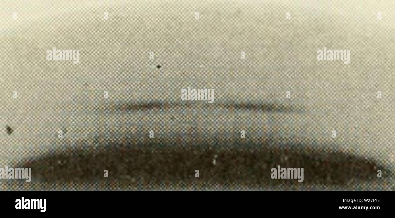 Archive image from page 275 of Cytology (1961) Stock Photo