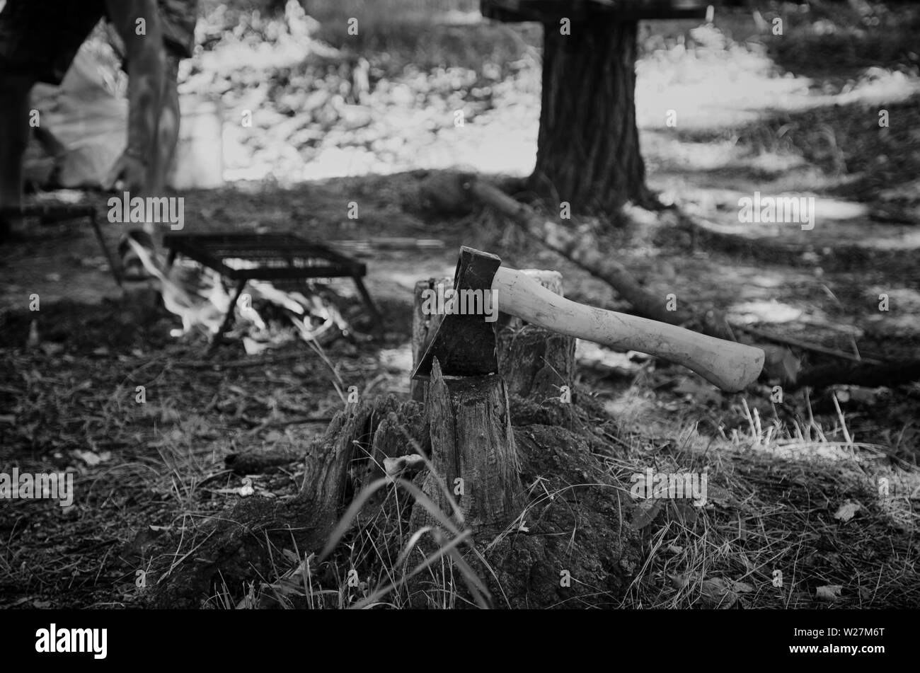 The ax stabs the stump for a picnic bonfire in black and white. Stock Photo