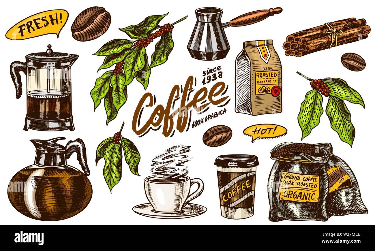 Coffee in vintage style. A bag of grain, cocoa leaves, cinnamon sticks ...