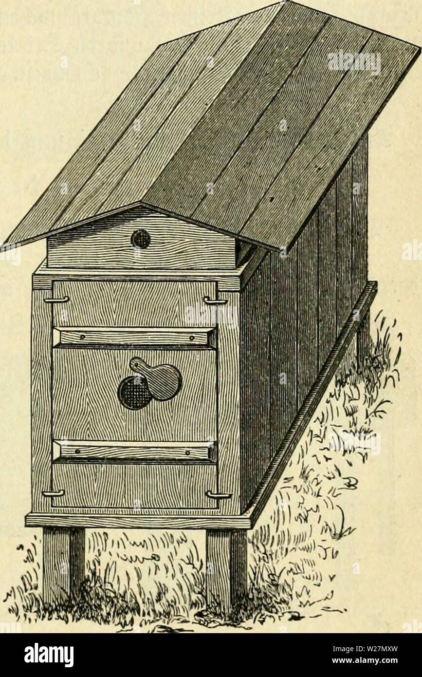Archive image from page 296 of Das buch von der biene. Das buch von der biene dasbuchvonderbie00witzg Year: 1898 er moUlUu. 281 2)ie 5luflQfle für bie 9f?äm(i)en bitbet eine überjinfte (Sifenfrf)iene öon 20—25 mm Sreite, bie o an ber oberen DZute aufgenagelt ift, bo fie ber ganäen Sänge nacf) um 3 mm über bie SfJute emporftictit. ®urd) biefe inrirf)tung tüirb 'öa 5lnfitten ber 9af)nien üollftänbig oerfjinbert unb eine S3eiDeglid)teit be§ äBa6en6aue§ unb eine 93equemlic{)eit ber Se'anblung erreidit, raie fie feine anbere SBot)nung aufmeifen fann. 2BiÜ man §. 33. bie erfte ober smeite SSnbe, Stock Photo