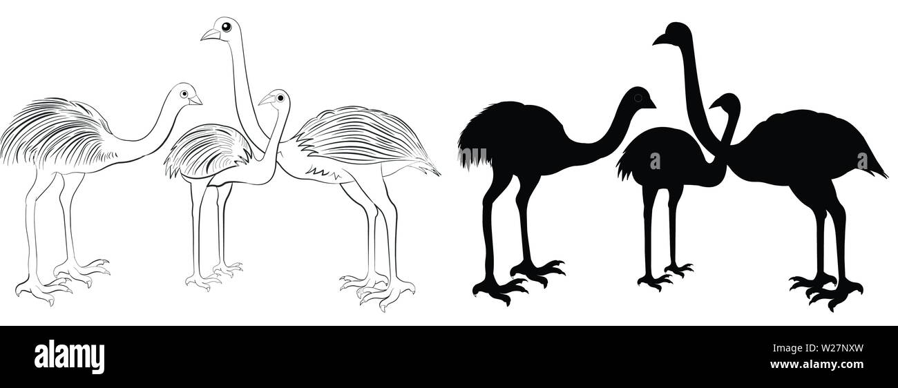 Emu Vector Silhouette set Stock Vector