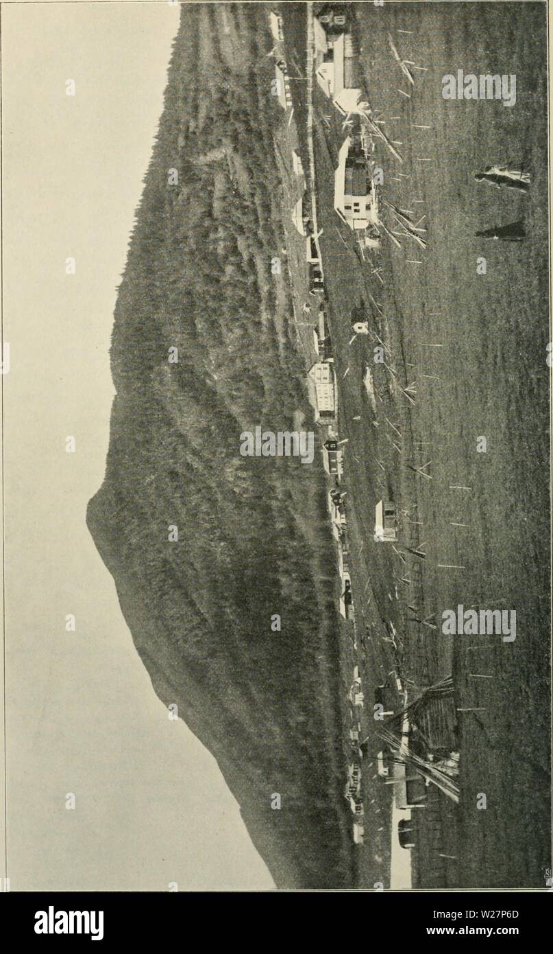 Archive image from page 303 of Den norrländska florans geografiska. Den norrländska florans : geografiska fördelning och invandringshistoria ; med särskild hänsyn till dess sydskandinaviskar arter dennorrlndskaf00ande Year: 1912 Stock Photo