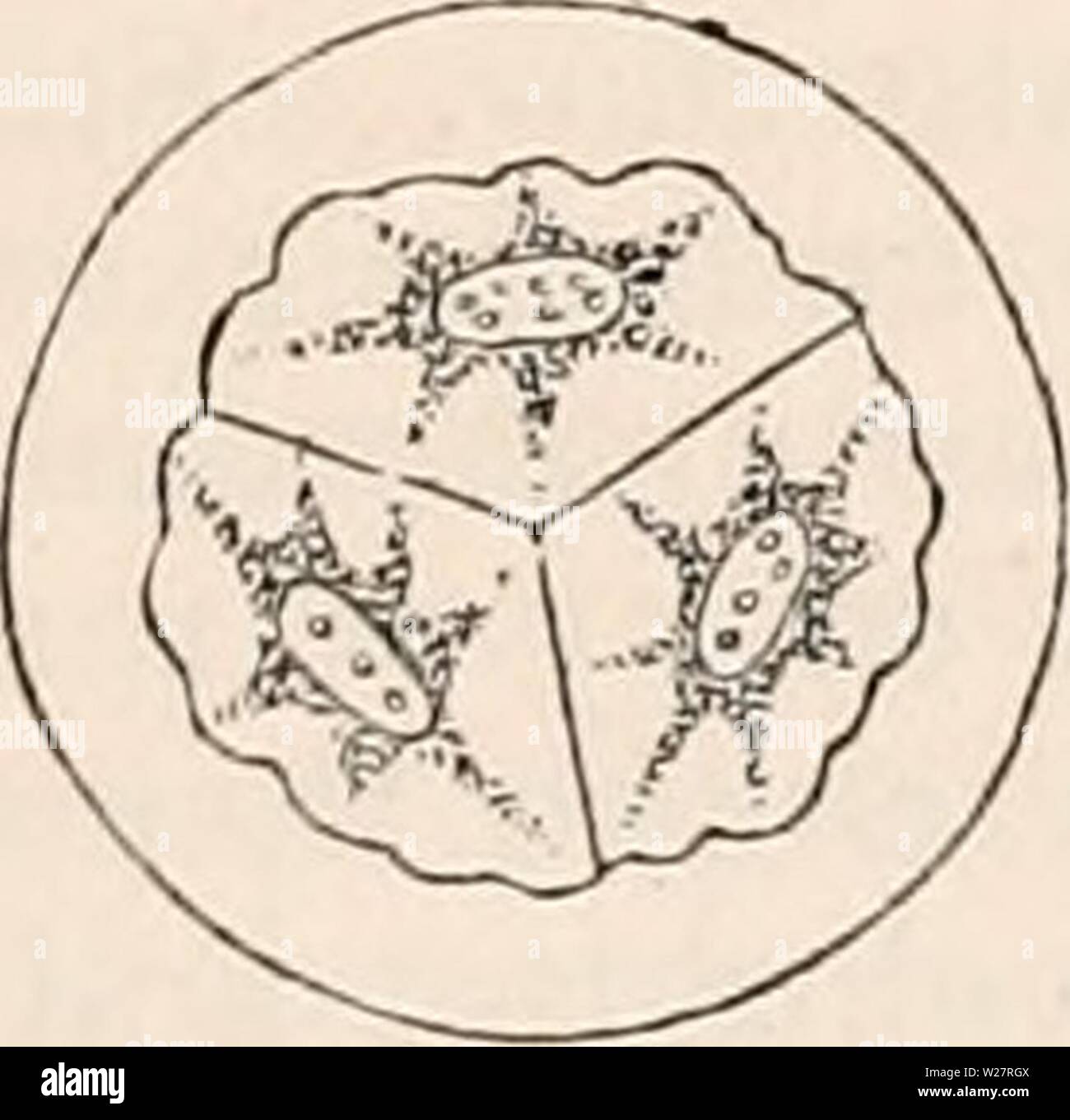 Cylindrical body hires stock photography and images Alamy