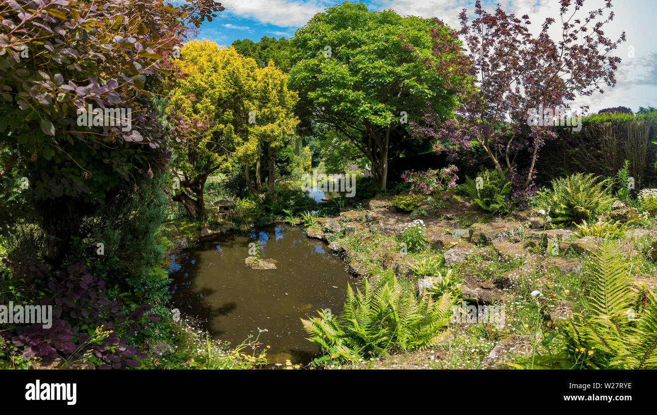Japanese Garden,Ponds and Stream,,Mount Ephraim Gardens,Faversham,Kent