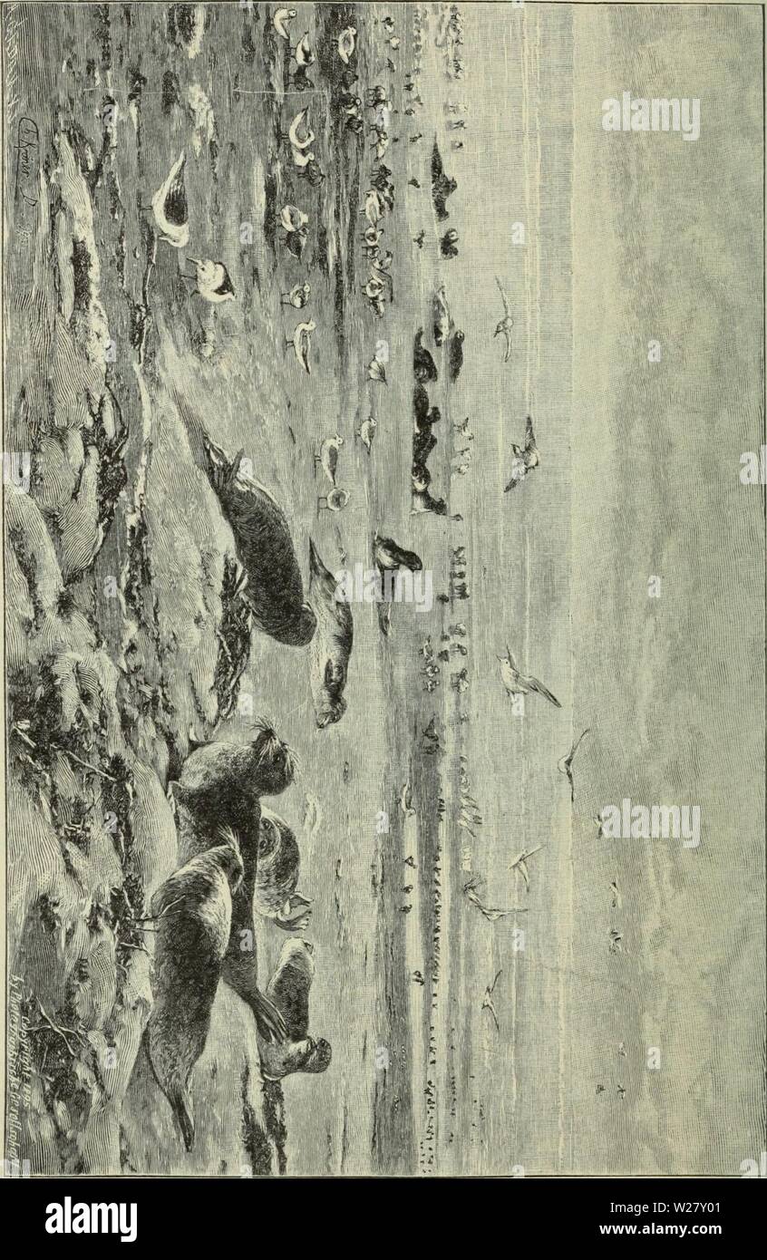 Page 3 Ms Berlin High Resolution Stock Photography And Images Alamy Page 3 Ms Berlin High Resolution Stock Photography And Images Alamy