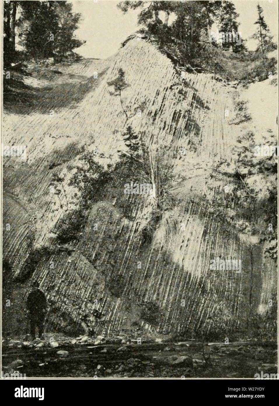 Archive image from page 329 of Den norrländska florans  geografiska. Den norrländska florans : geografiska fördelning och invandringshistoria ; med särskild hänsyn till dess sydskandinaviskar arter  dennorrlndskaf00ande Year: 1912  312 ELFTE KAPITLET Kiibus idinis. R. saxatilis, Tnssilago farfara; vid foten sägs Cirsium Imi- ccolatuin.f Utom de vid nämnda besök antecknade arterna äro nedan äfven sådana anförda, som upptagas af KRÖNINGSSVÄRD (150 och 151), INDEBETOU (141) Och JOHANSSON (l43)-    Fig. 49. Parti af den norra, för solen exponerade, tvärbranta sidan af erosionsdalen vid Styggforsen Stock Photo