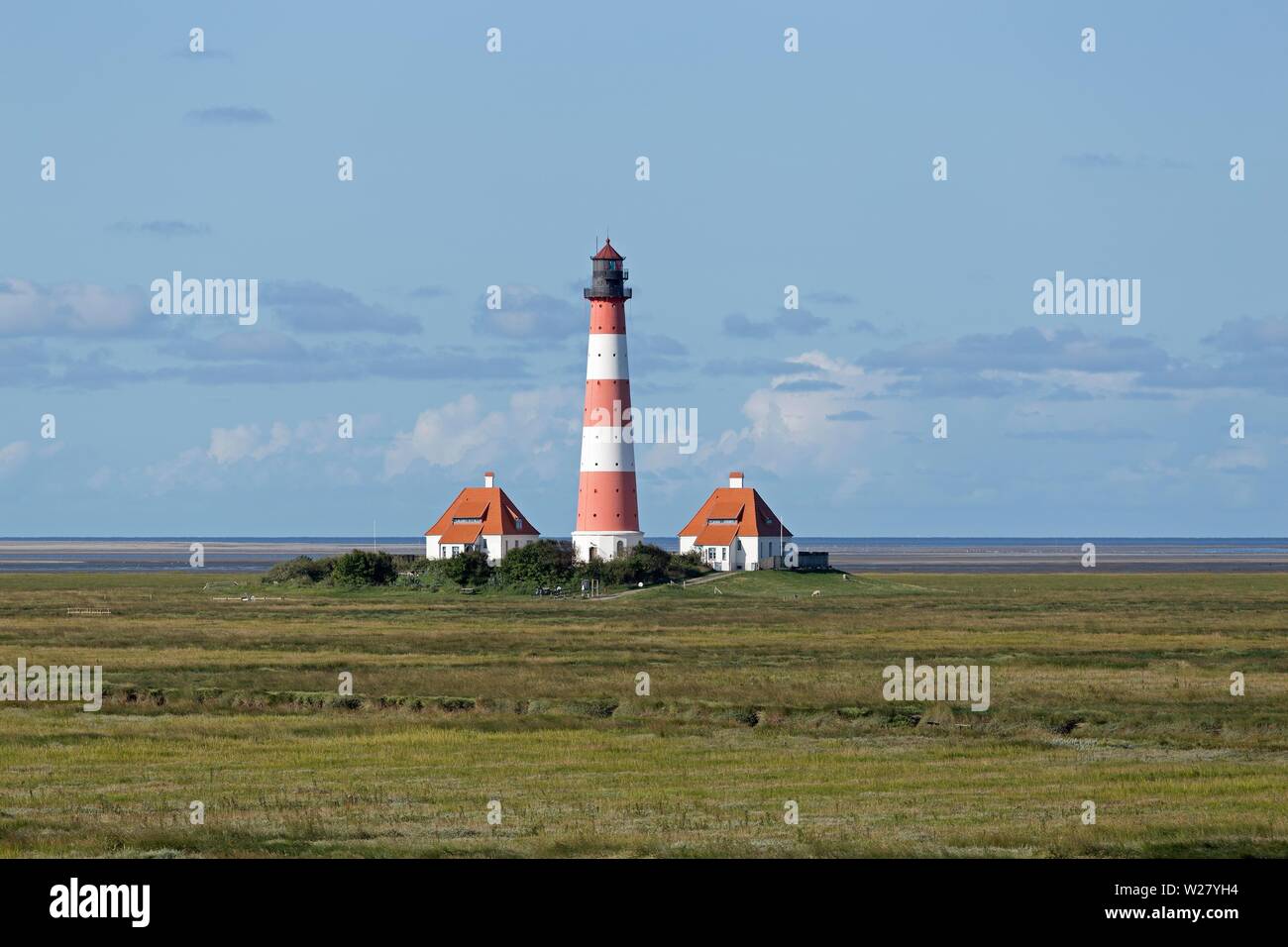 Sprinter Van Repair Near Me Find Reputable Mechanics and Affordable Services