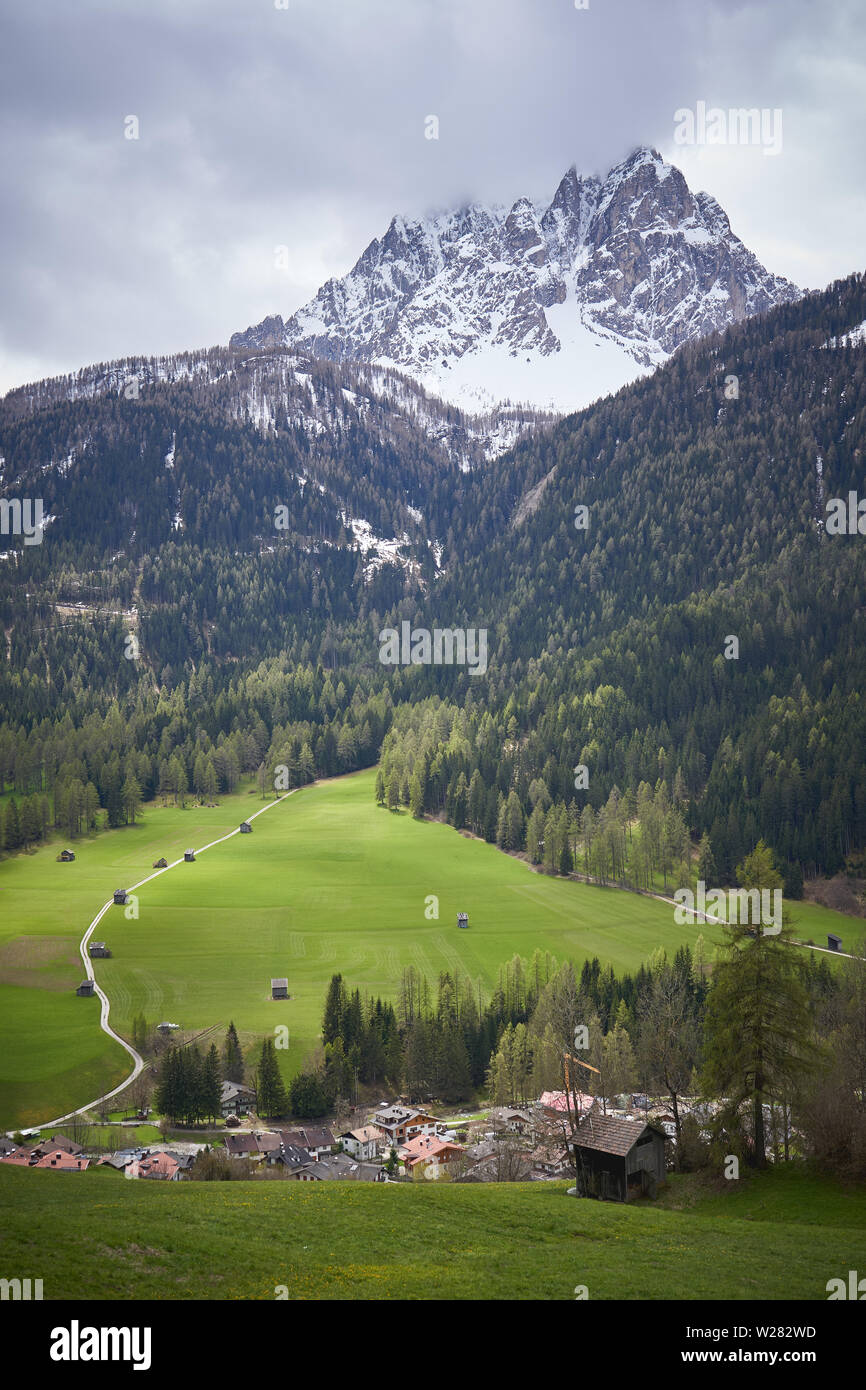 View of a valley in the Alps in the region Trentino with the typical wooden barns (Tabia in Italian) and the Dolomites on the background. Stock Photo