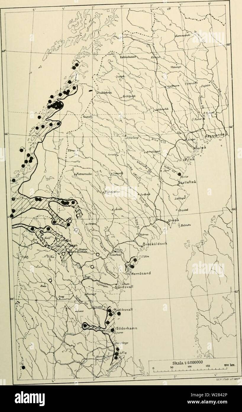 Archive image from page 356 of Den norrländska florans geografiska. Den norrländska florans : geografiska fördelning och invandringshistoria ; med särskild hänsyn till dess sydskandinaviskar arter dennorrlndskaf00ande Year: 1912 KARTOR OCH STà NDORTER 341 Kartan lo. Asperula odorata. Jfr texten s. i6o. Stock Photo