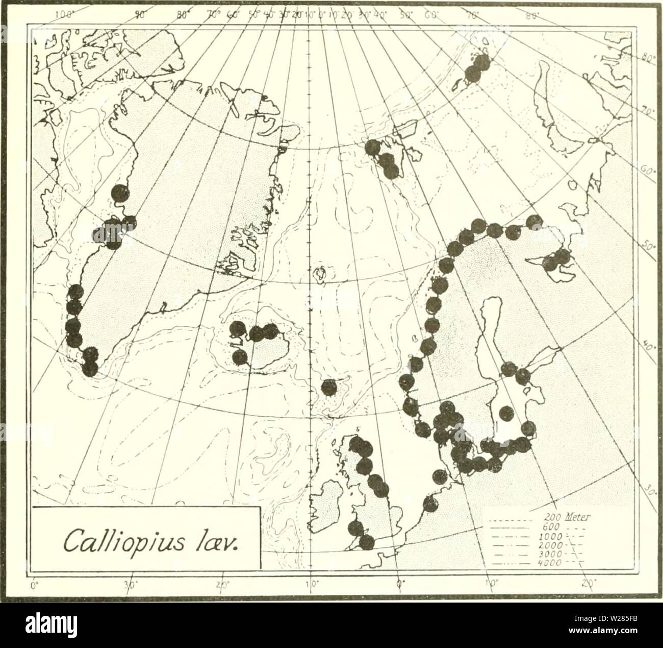 Archive image from page 364 of The Danish Ingolf-expedition (1899-1953). The Danish Ingolf-expedition  danishingolfex3cpt8daniuoft Year: 1899-1953  CRUSTACEA MALACOSTRACA. VII. 283    Chart 50. Calliopius Icrviuscuhis. American localities are outside the chart N. Iceland: EyjafjorSr (H. Jonsson leg. 1-7-1898). ââ SnartarstaSir, 4âo m., black sand (C. Otterstrom 24-6-1903). The Zool. Museum of Copenhagen possesses specimens also from Kolbeinsa (Iceland, where the shore (H. Jonsson leg. 7-9-1897), and from Iceland without special loc. (Jap. Steenstrup leg. 19-3-1840). Till now it had not been re Stock Photo