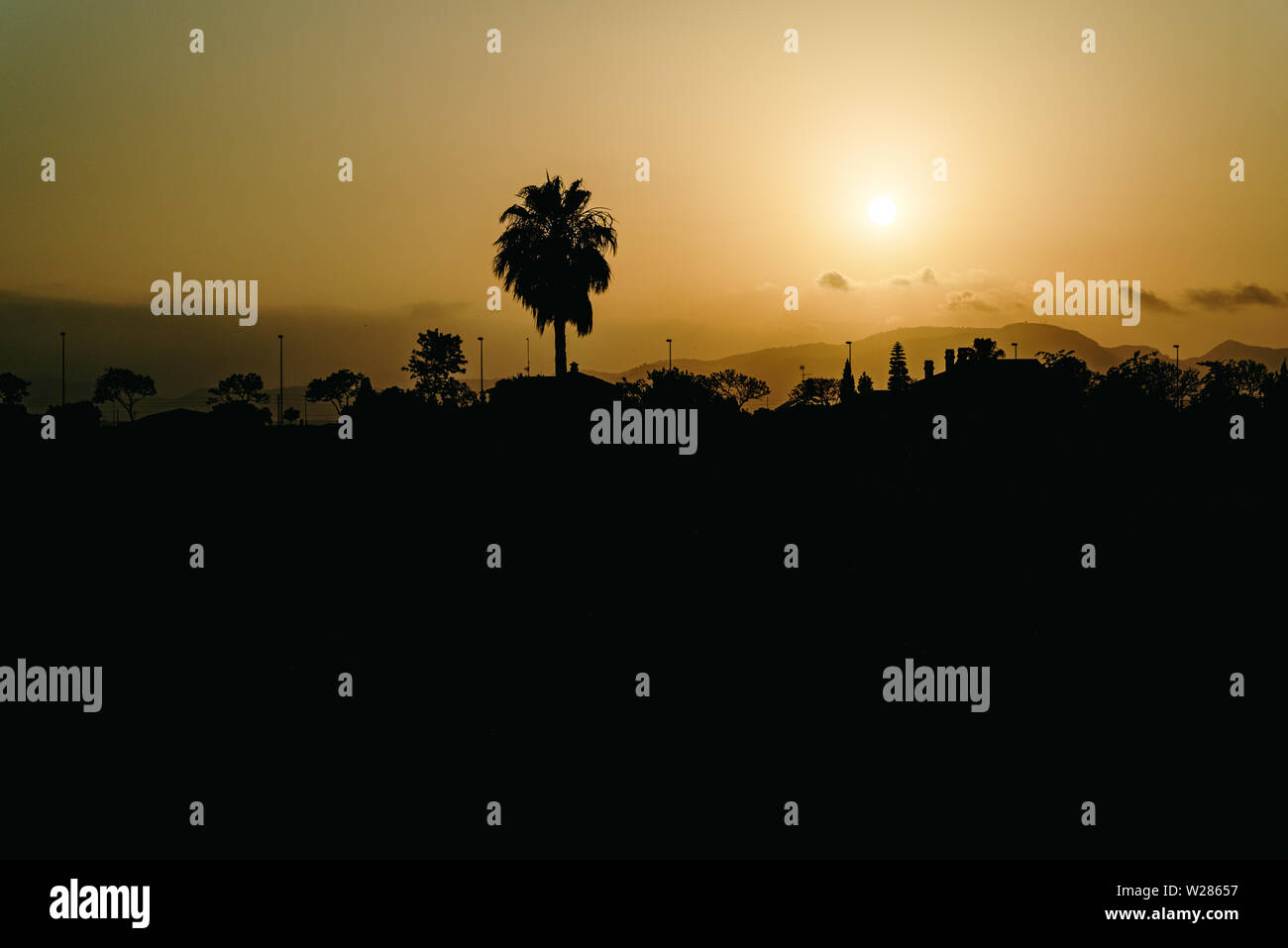 Silhouette of a city landscape deserting with a palm tree against the sun at sunset on a dark background, concept of global climate warming. Stock Photo