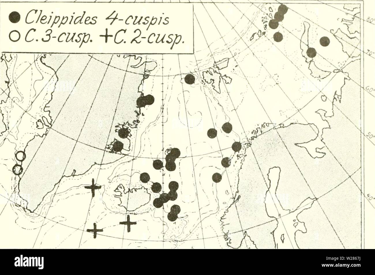Archive image from page 368 of The Danish Ingolf-expedition (1899-1953). The Danish Ingolf-expedition  danishingolfex3cpt8daniuoft Year: 1899-1953  CRUSTACEA MALACOSTKACA. VII. 287 W Jitf Jtf yfr yt- â¢yS'ririlo-lfiY'- V Â£â /    CJeippides 4-cusp is O Â£â¢ J-7. +C Z-CUSp Chart 51. Cleippid.es, 4-cuspis, C. 3-cuspis, C. 2-cuspis Occurrence. The 'Ingolf' and other expeditions have secured this species at several stations. E.Greenland: Hurry Inlet, the mouth, room. 1 spec. (The E. Greenl. Exped. 11-8-1900). Forsblad Fjord, abt. 100 m., 1 $ ovig., and abt. 185â100 m., stones with clay and gravel, Stock Photo