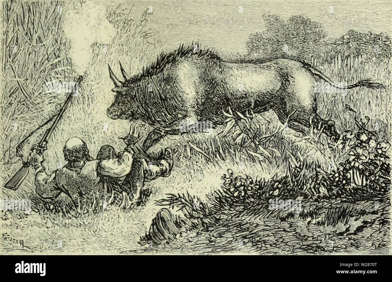 Archive image from page 374 of De Angola á contra-costa; descripção. De Angola á contra-costa; descripção de uma viagem atravez do continente africano  deangolacontrac01cape Year: 1886  . ESCORREGANDO NO LAMEIRO Deixando atraz a várzea do Cuito, entrámos em ter- reno ligeiramente ondulado, de meio grau talvez de extensão, onde nem um só riacho se encontra. E a terra elevada, que separa a bacia d'este rio d'aquella do Cuando, e onde começa o domínio dos man-bunda. Depois de muito tempo que a alimentação da cara- vana era exclusivamente constituída pela carne. Por esse motivo começávamos a notar Stock Photo