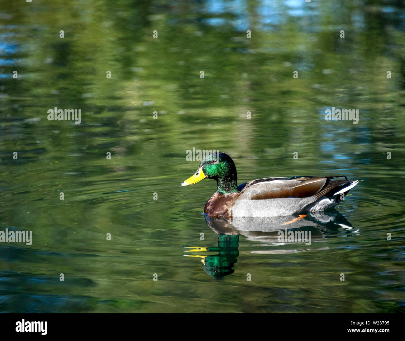My Image 31