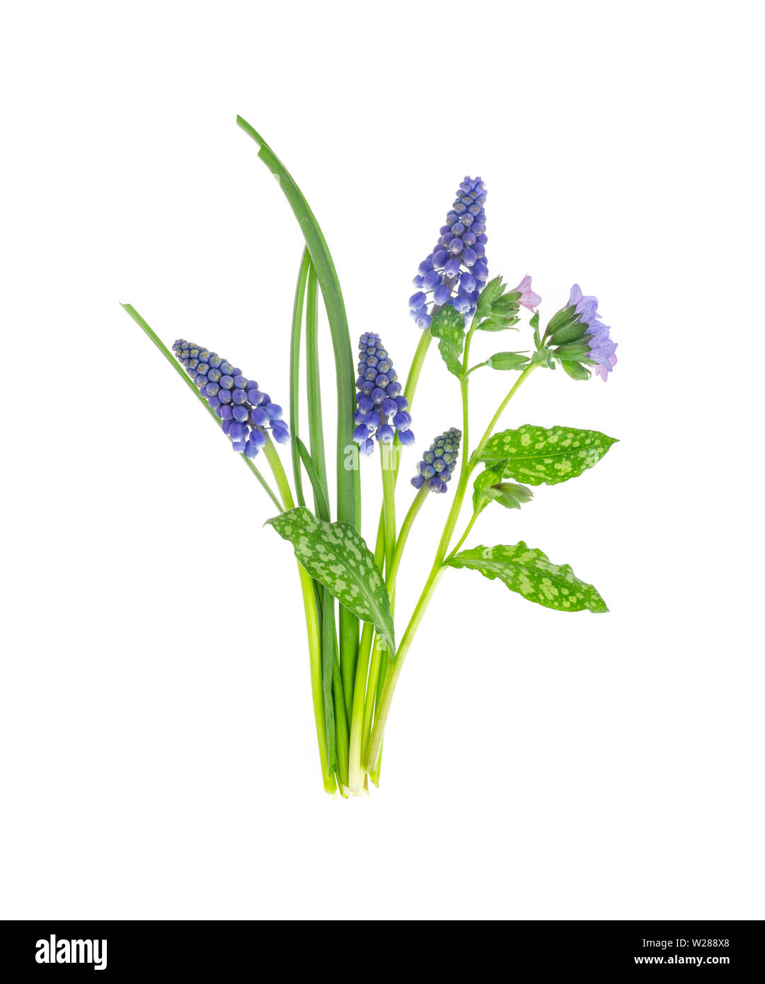 Beautiful small blue garden and wild flowers Stock Photo - Alamy