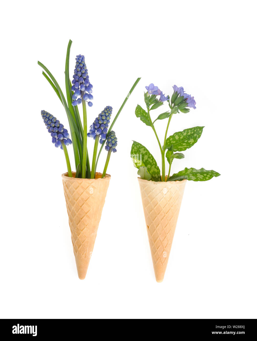 Beautiful small blue garden and wild flowers Stock Photo - Alamy