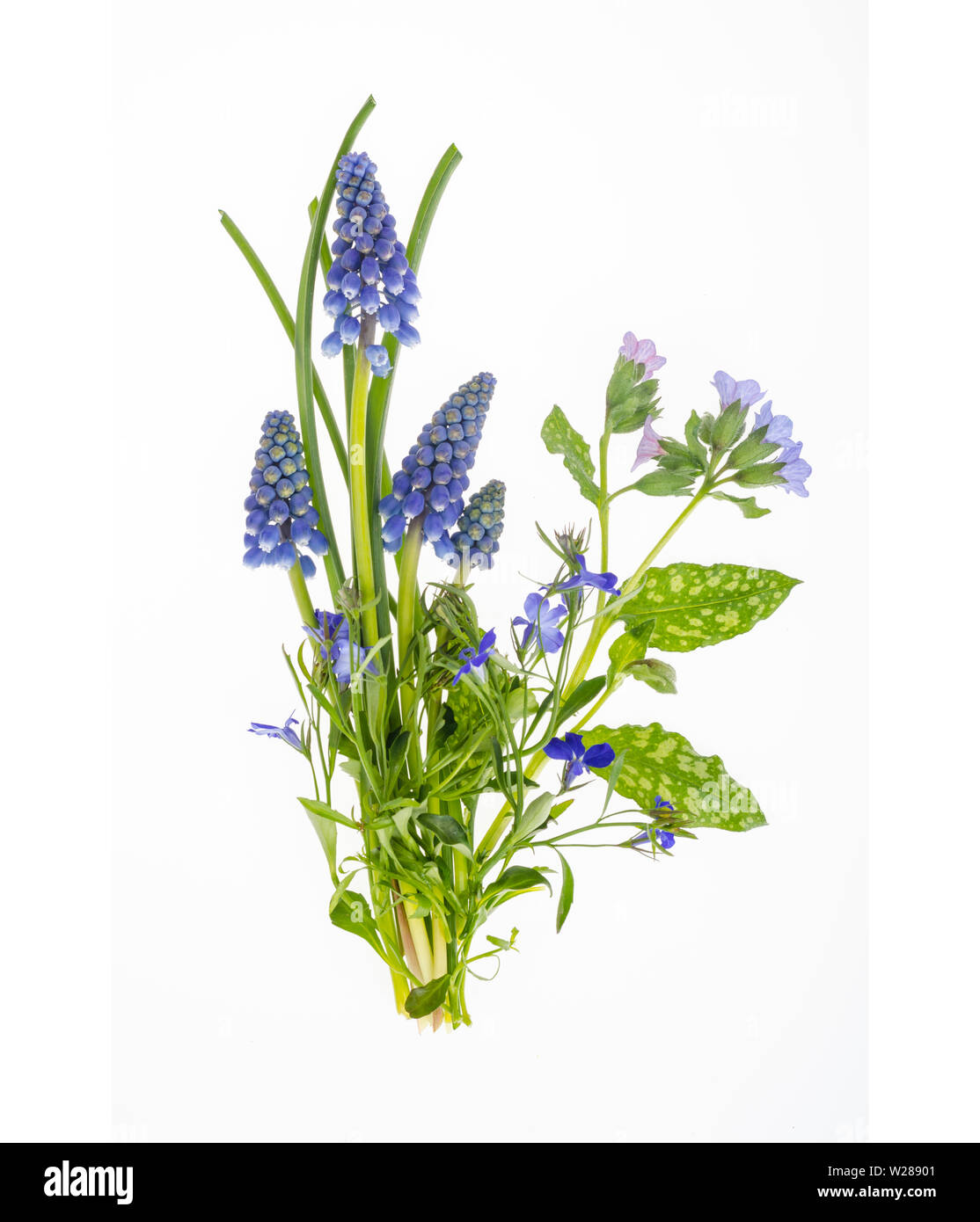 Beautiful small blue garden and wild flowers Stock Photo - Alamy