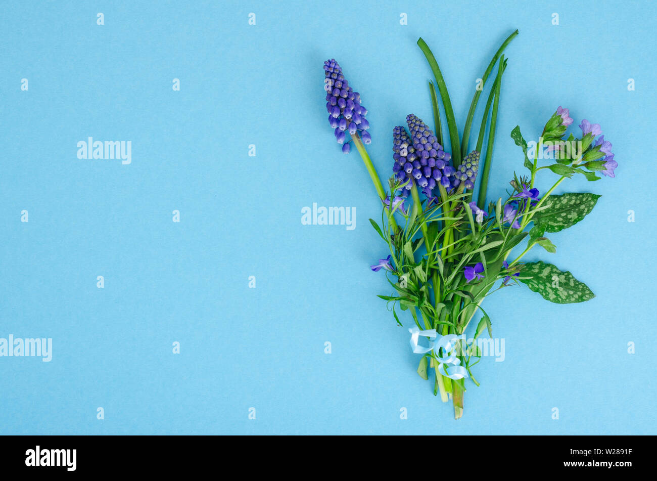 Beautiful small blue garden and wild flowers Stock Photo - Alamy