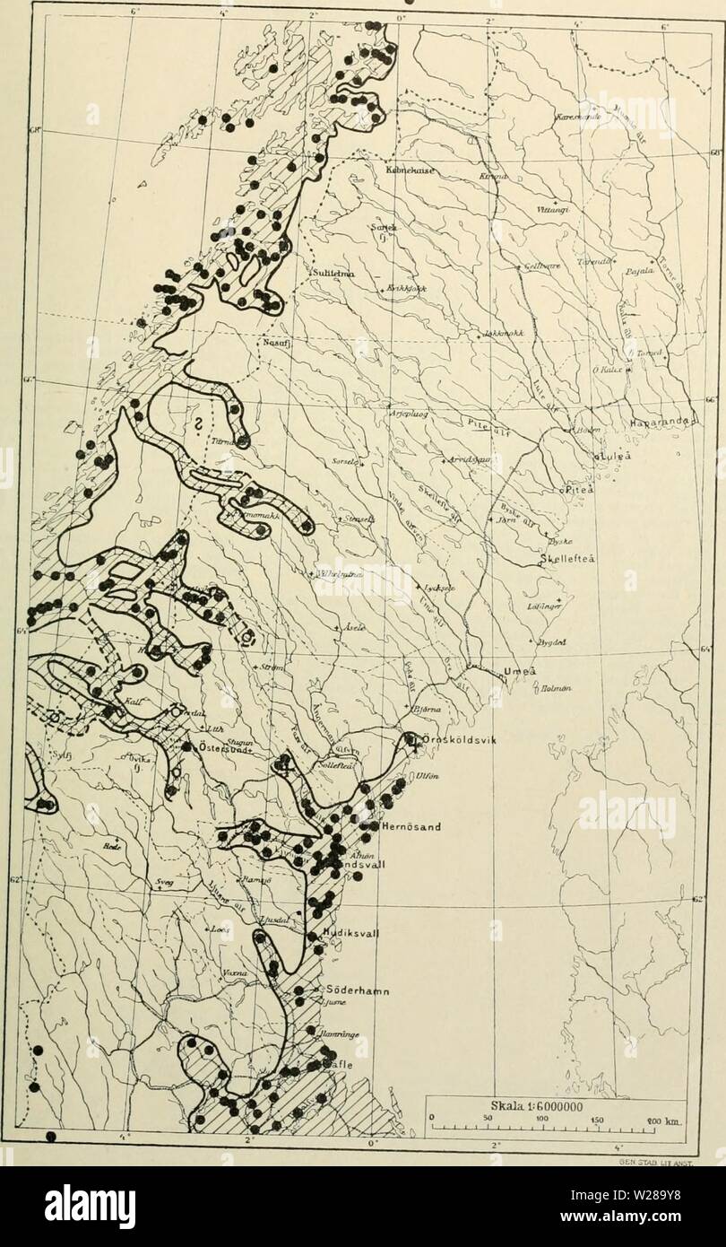 Archive image from page 396 of Den norrländska florans geografiska. Den norrländska florans : geografiska fördelning och invandringshistoria ; med särskild hänsyn till dess sydskandinaviskar arter dennorrlndskaf00ande Year: 1912 KARTOR OCH STà NDORTER .81 Kartan 30. Stachys silvatica. Fossila fyndorter i Sverige äro angifna med ett +. I Norge är arten allmän i RÃ¥nen och gar mot norr till 69° 10'. Stock Photo