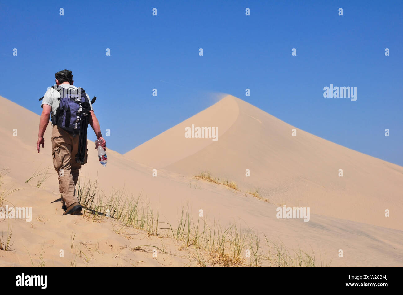 Hiker climbing Kelso dune in Mojave desert, carrying a backpack and a bottle of water to prevent dehydration Stock Photo