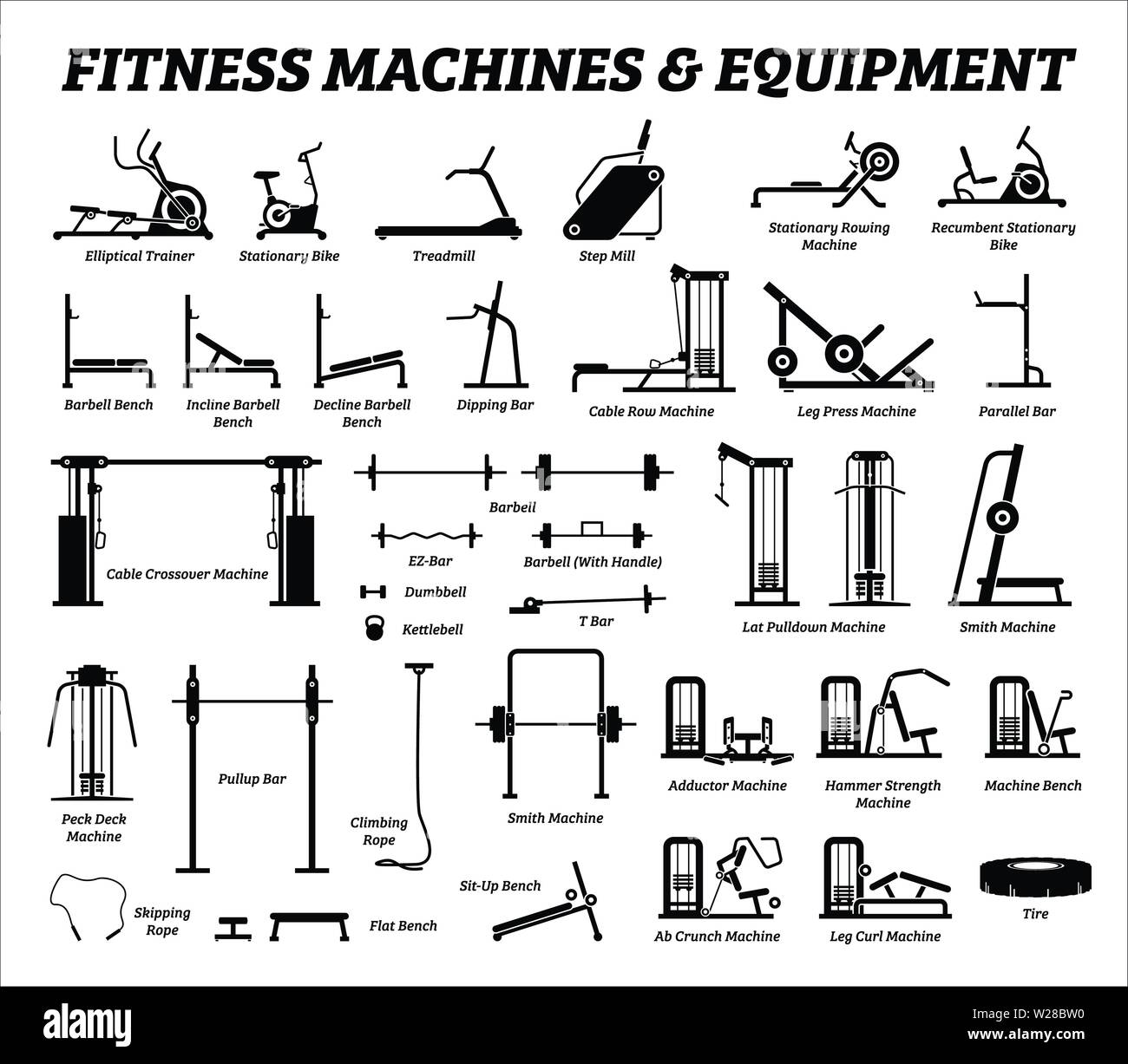 Fitness, cardio, and muscle building machines, equipments set at gym.  Artworks depict a list of exercise workout tools, machines, and equipments  in th Stock Vector Image & Art - Alamy