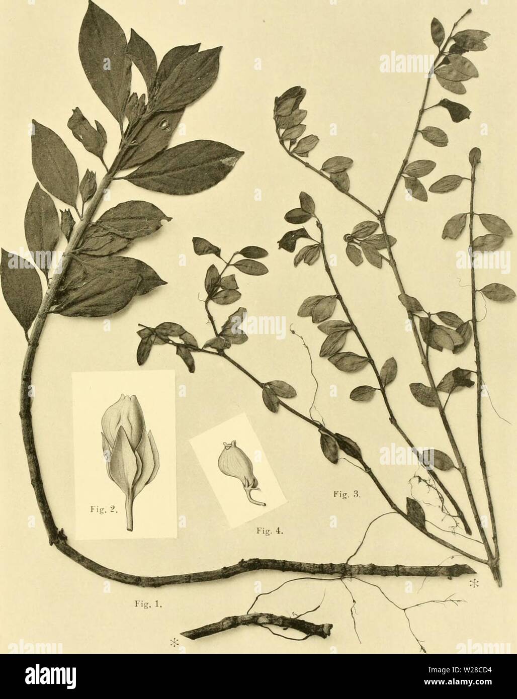 Sper Stock Photos Sper Stock Images Page 2 Alamy