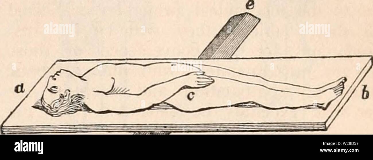 Archive image from page 422 of The cyclopædia of anatomy and Stock Photo