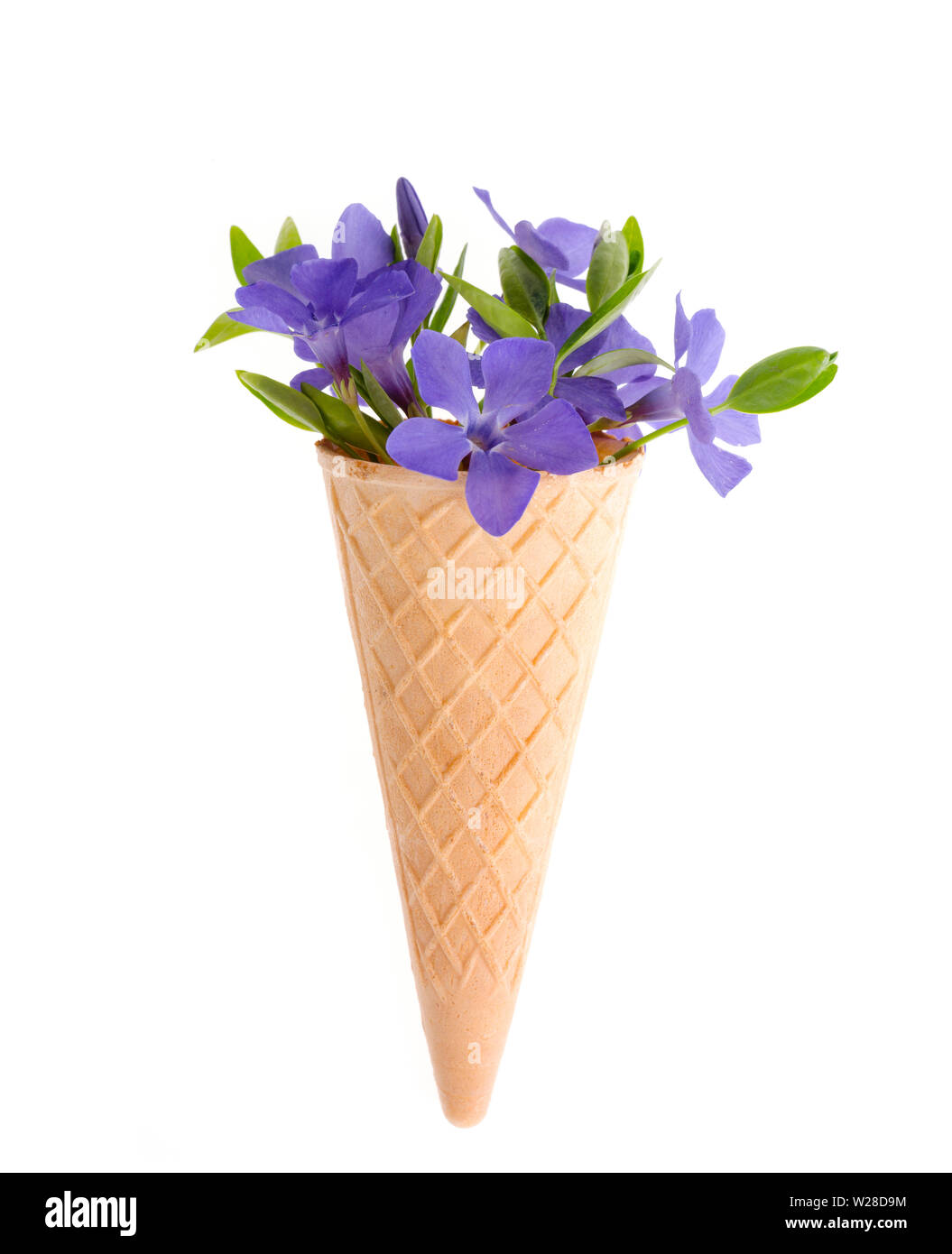 Bright background with small bouquet of blue flowers Stock Photo Alamy