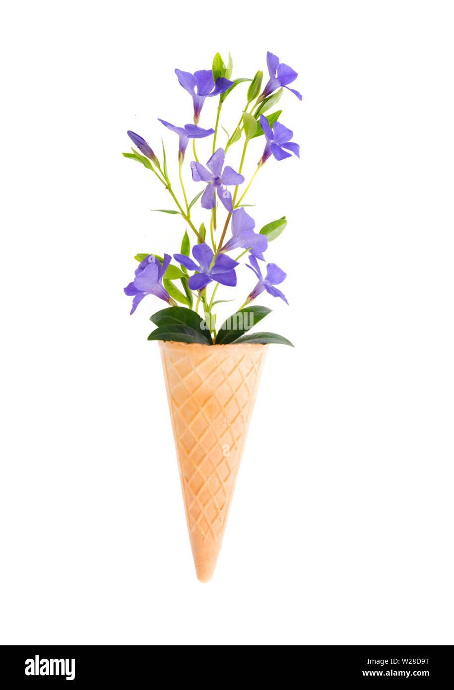 Bright background with small bouquet of blue flowers Stock Photo Alamy