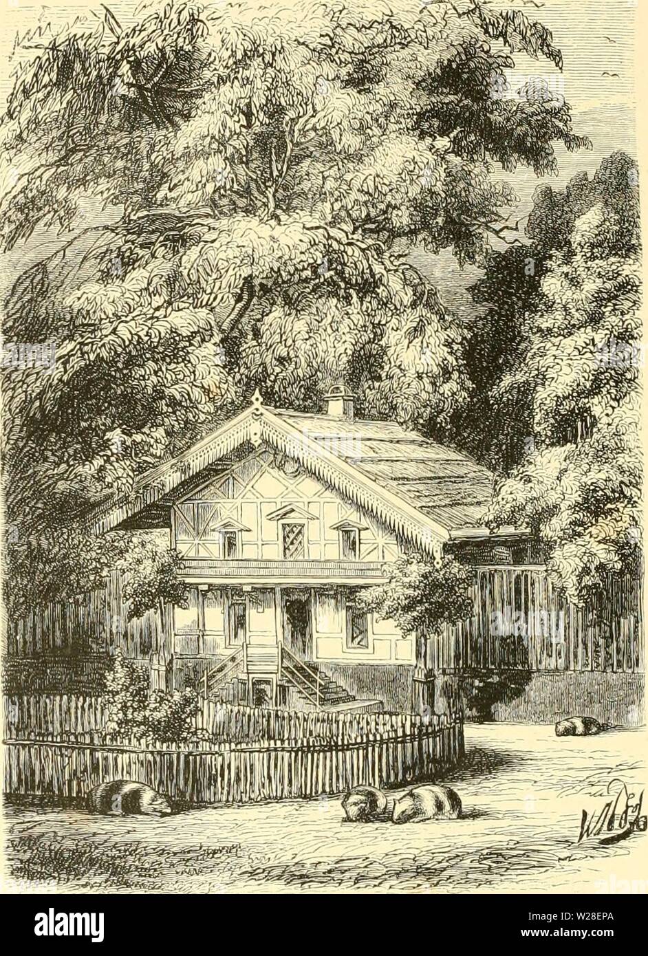 Archive image from page 437 of De Dierentuin van het Koninklijk. De Dierentuin van het Koninklijk Zoologisch Genootschap Natura Artis Magistra te Amsterdam dedierentuinvanh00schl Year: 1872 HET VERBLlJh DER MARMÜTIEN. Stock Photo