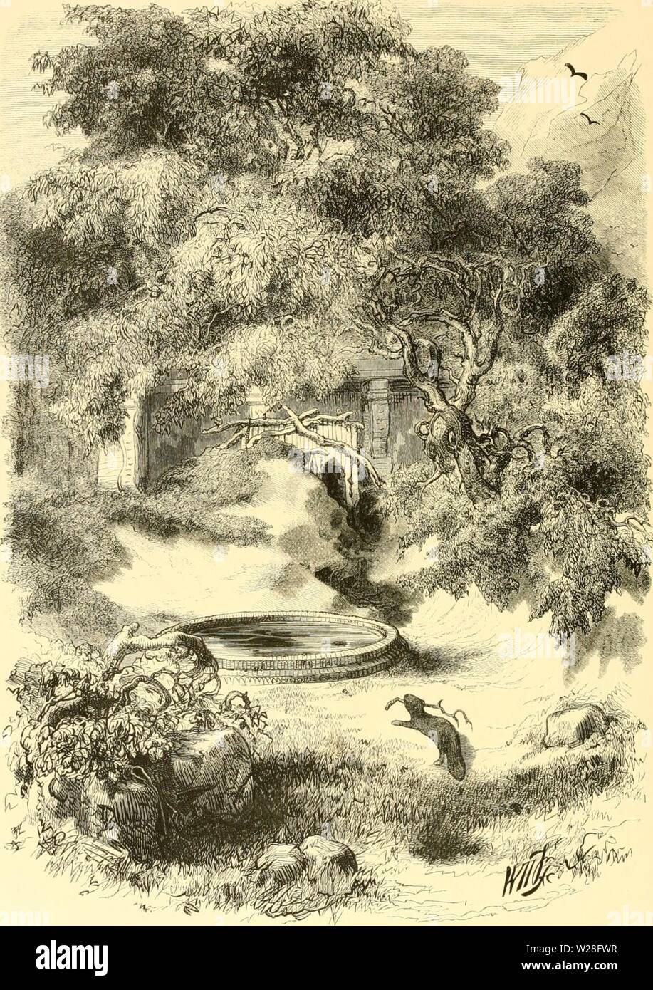 Archive image from page 449 of De Dierentuin van het Koninklijk. De Dierentuin van het Koninklijk Zoologisch Genootschap Natura Artis Magistra te Amsterdam dedierentuinvanh00schl Year: 1872 HET BEVERPARK. Stock Photo