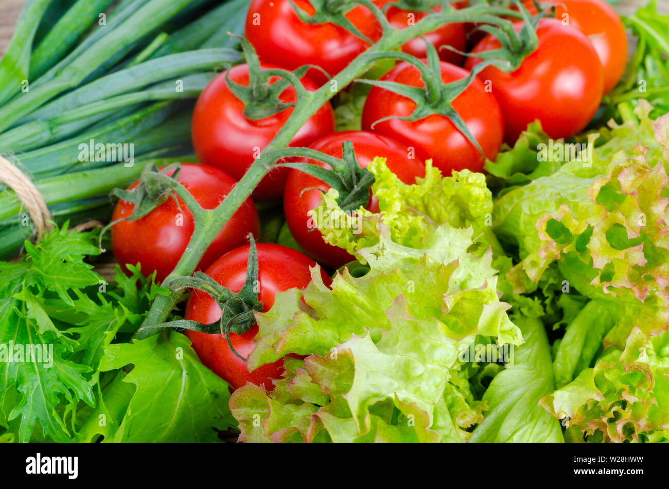 Vegetable background, lettuce, tomatoes and green onions Stock Photo