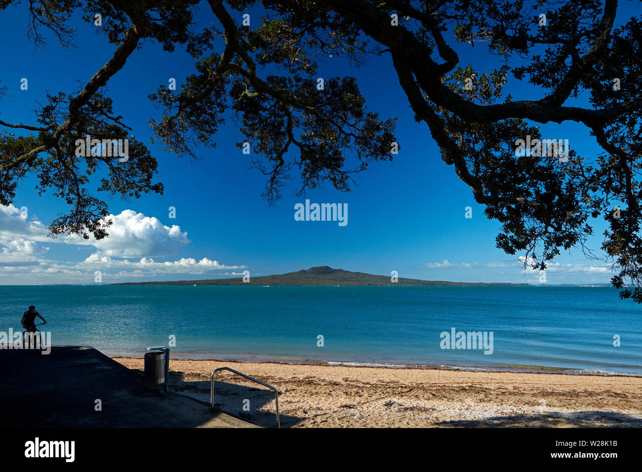 Cyclist, Cheltenham Beach and Rangitoto Island, Devonport, Auckland, North Island, New Zealand Stock Photo