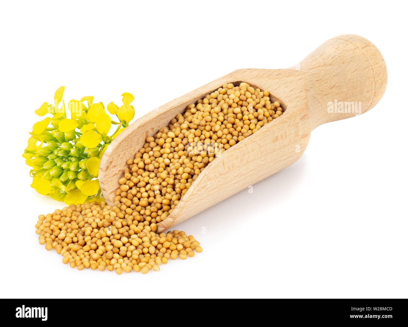 mustard seeds in wooden scoop Stock Photo