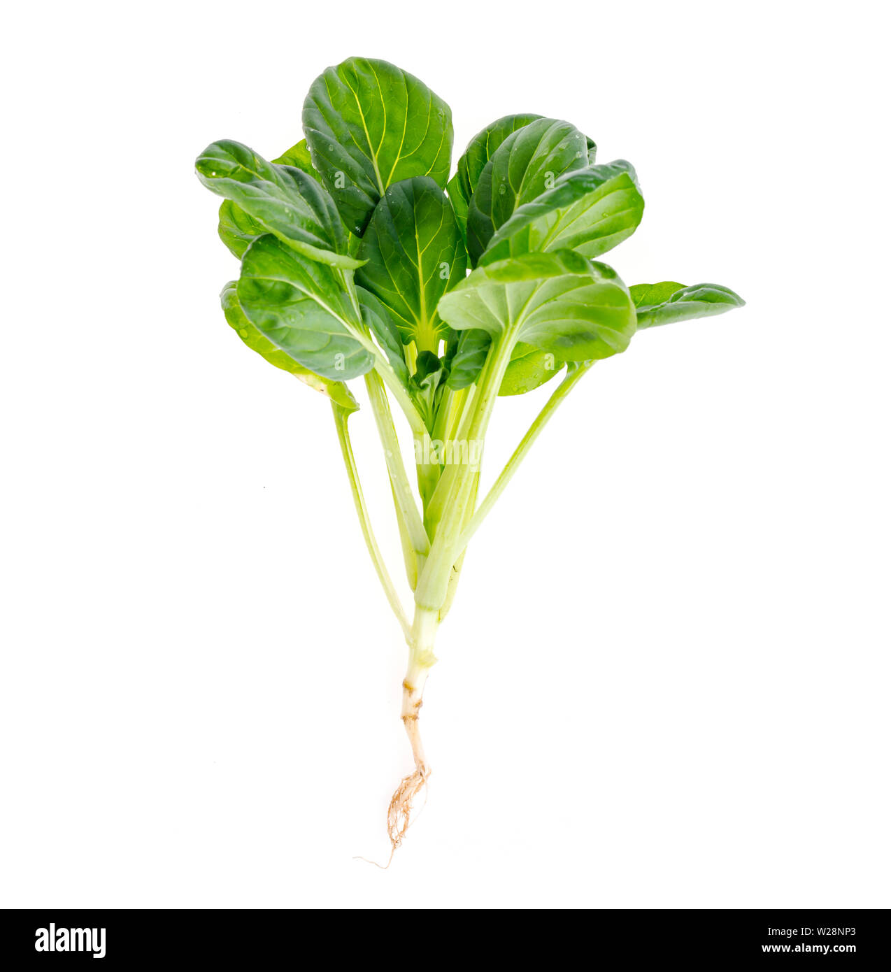 My Image 10