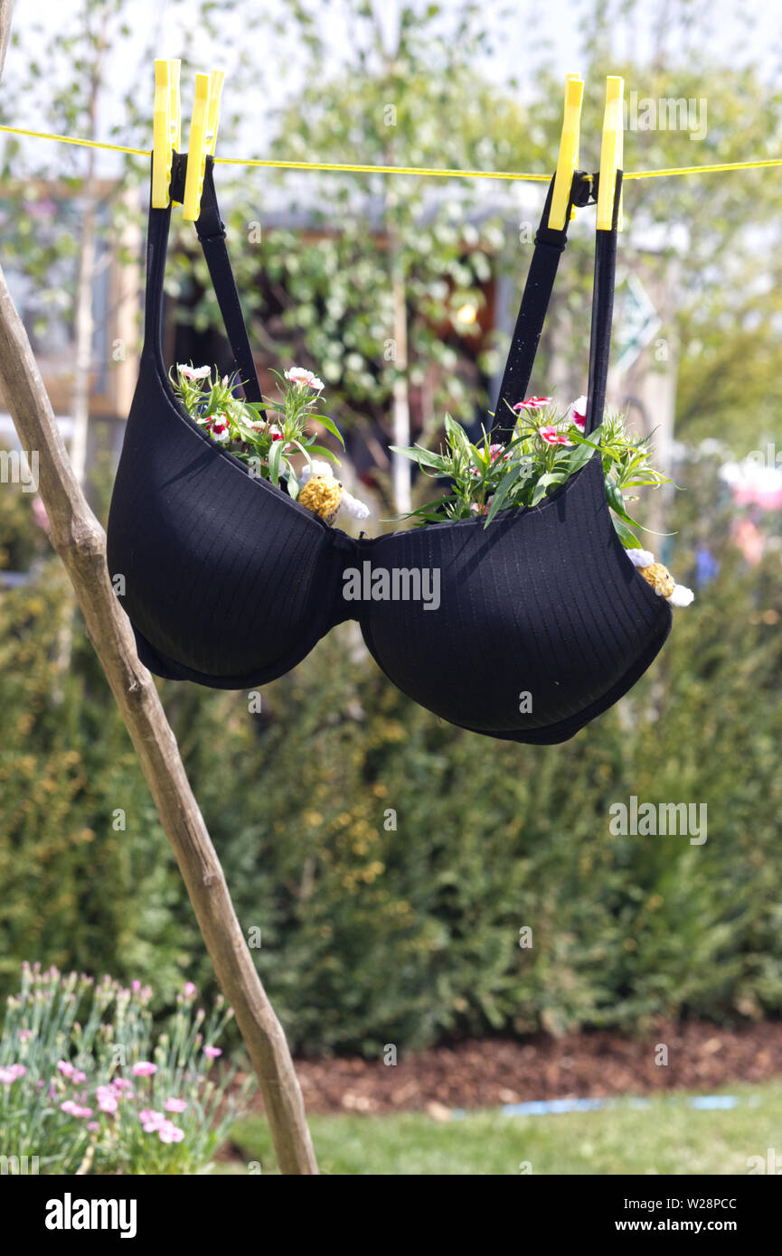 Bra washing line hi-res stock photography and images - Alamy