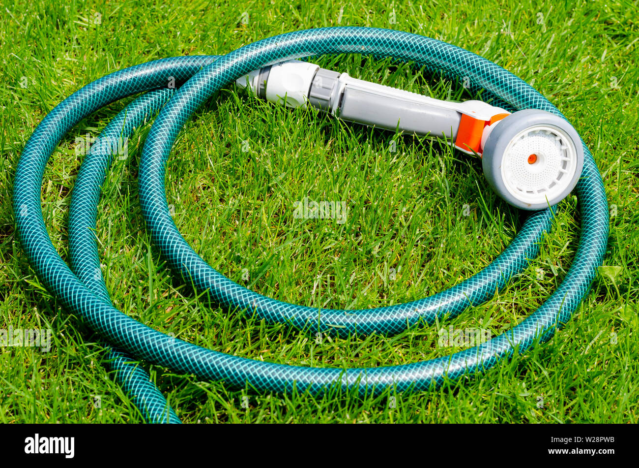 Green hose for watering lies on grass, lawn Stock Photo Alamy