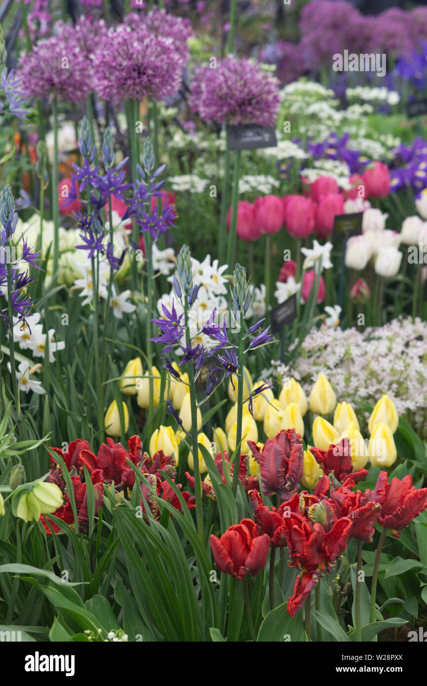 Mixed flower border hires stock photography and images Alamy