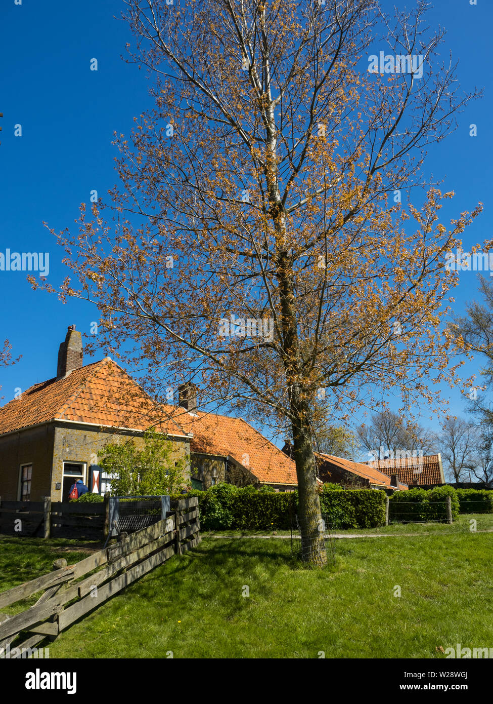 Holland gree hi-res stock photography and images - Alamy