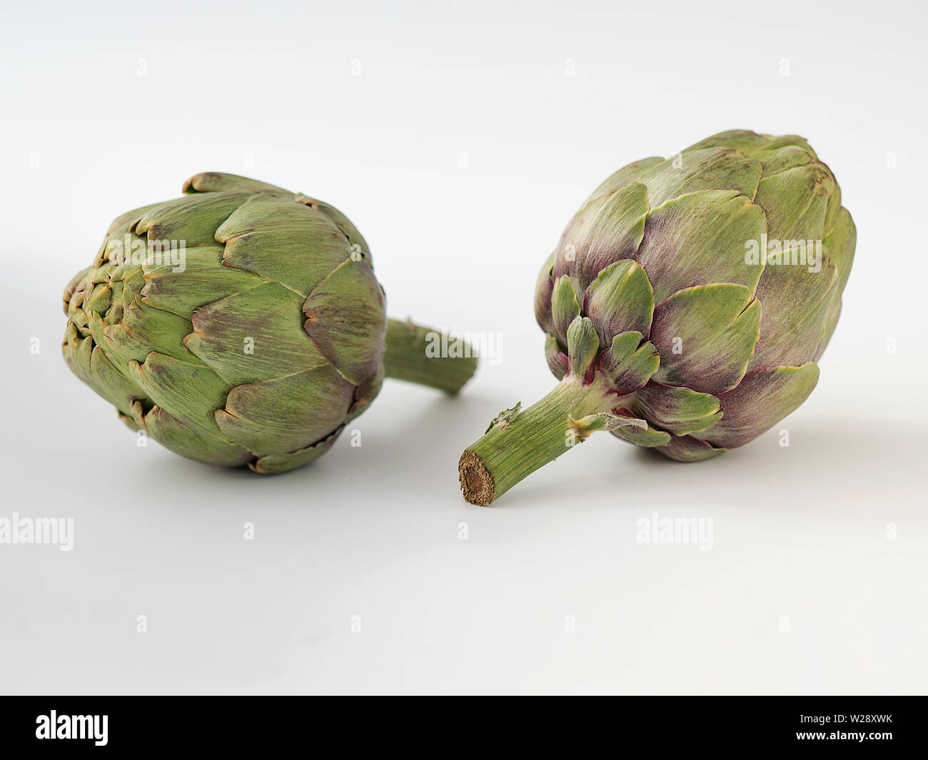 two artichokes on white background with natural light Stock Photo