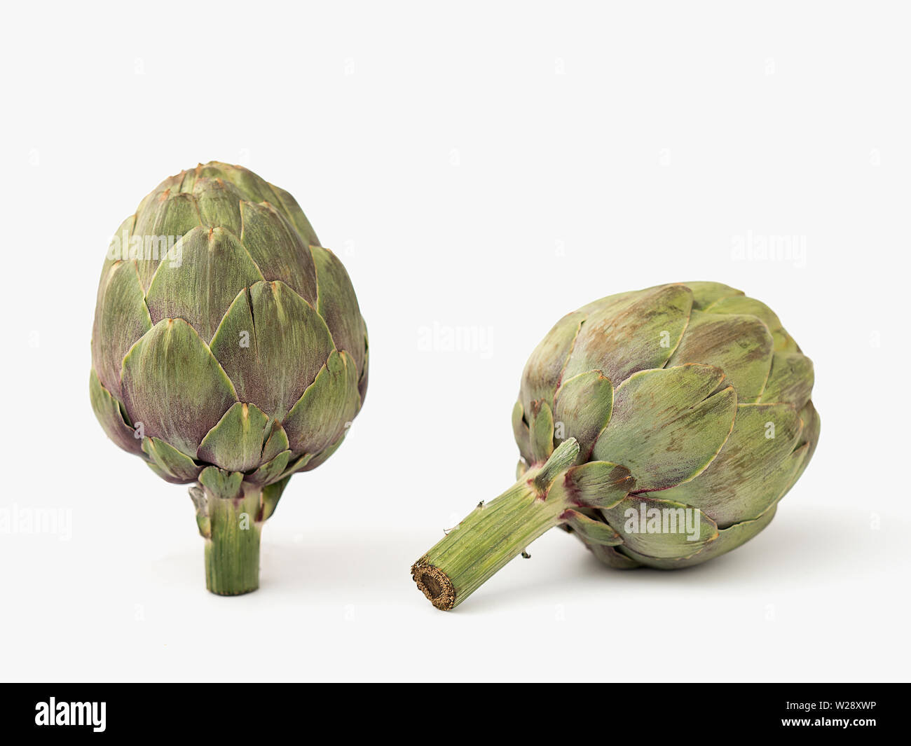 two artichokes on white background with natural light Stock Photo