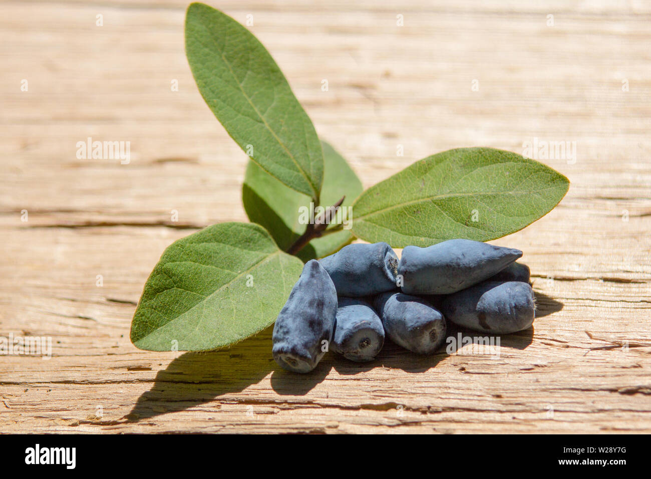 Honeyberry (Lonicera Caerulea var. Kamtschatica), close up of fruit with leaves on wooden board Stock Photo