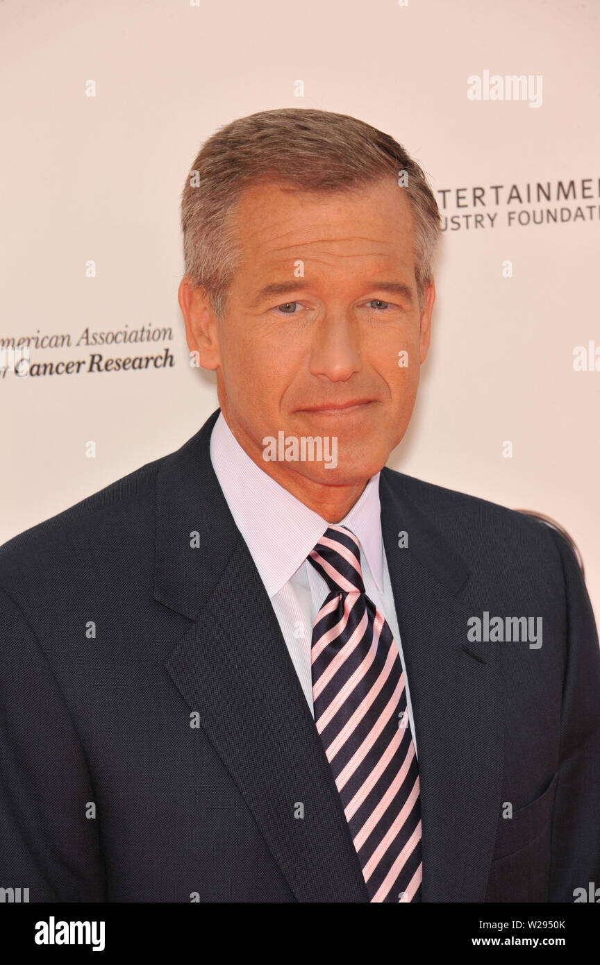 LOS ANGELES, CA. September 11, 2010: TV news anchor Brian Williams at the Stand Up To Cancer event at Sony Pictures Studios, Culver City. © 2010 Paul Smith / Featureflash Stock Photo